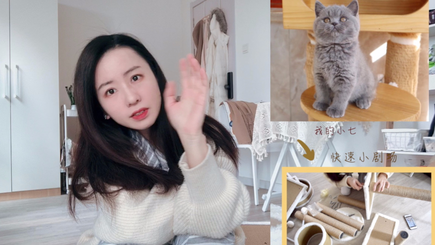 陪我一起组装猫爬架顺便碎碎念